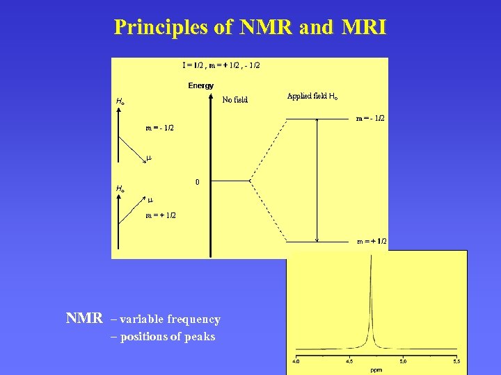 Principles of NMR and MRI NMR – variable frequency – positions of peaks 