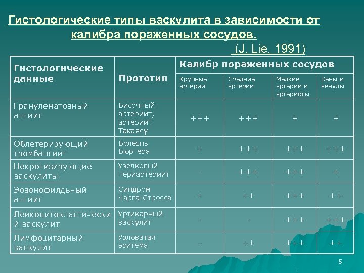 Гистологические типы васкулита в зависимости от калибра пораженных сосудов. (J. Lie, 1991) Гистологические данные