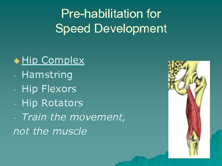 Pre-habilitation for Speed Development u Hip Complex - Hamstring - Hip Flexors - Hip