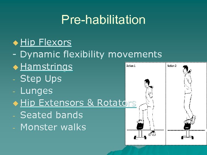 Pre-habilitation u Hip Flexors - Dynamic flexibility movements u Hamstrings - Step Ups -