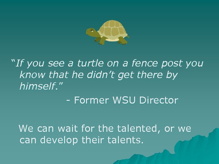 “If you see a turtle on a fence post you know that he didn’t