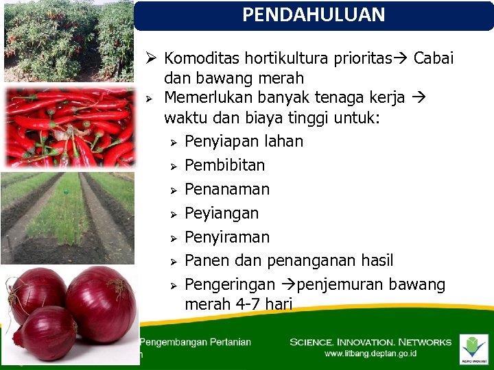 PENDAHULUAN Ø Komoditas hortikultura prioritas Cabai dan bawang merah Ø Memerlukan banyak tenaga kerja