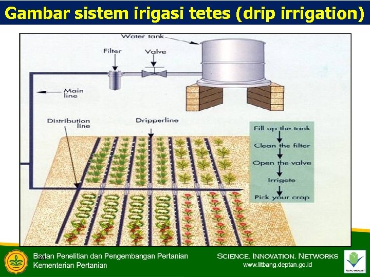 Gambar sistem irigasi tetes (drip irrigation) 21 
