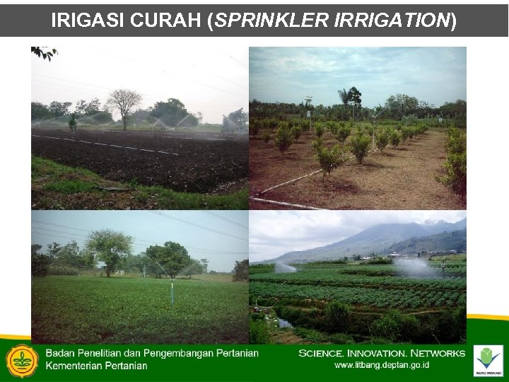 IRIGASI CURAH (SPRINKLER IRRIGATION) 