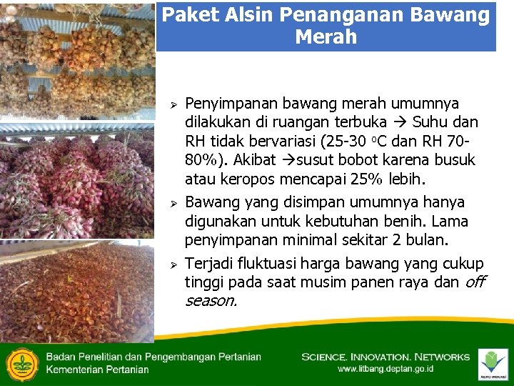 Paket Alsin Penanganan Bawang Merah Ø Ø Ø Penyimpanan bawang merah umumnya dilakukan di