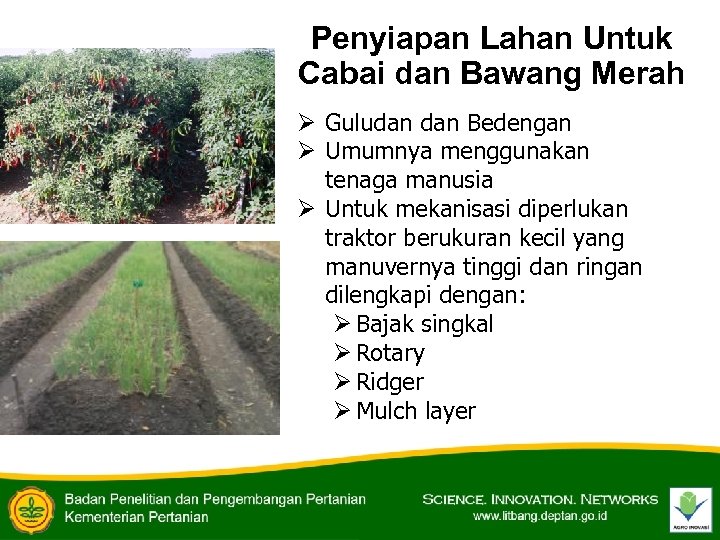 Penyiapan Lahan Untuk Cabai dan Bawang Merah Ø Guludan Bedengan Ø Umumnya menggunakan tenaga