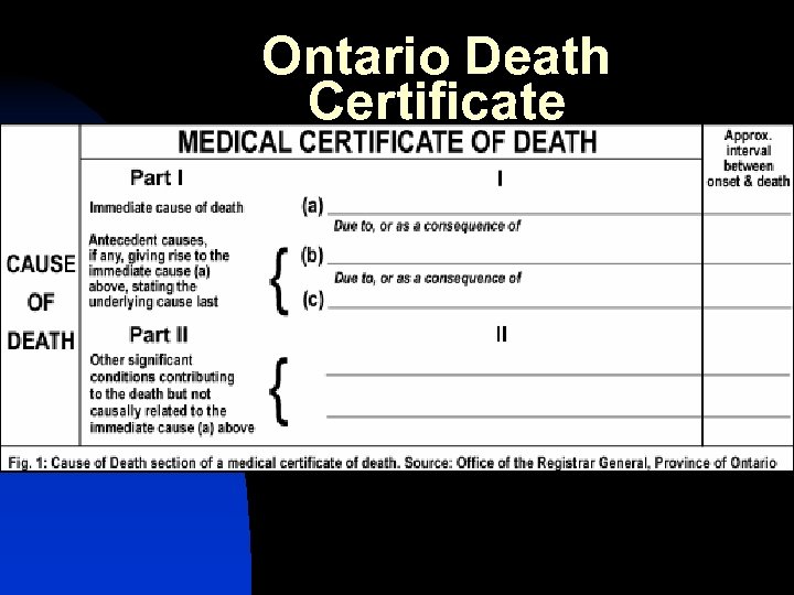 Ontario Death Certificate 