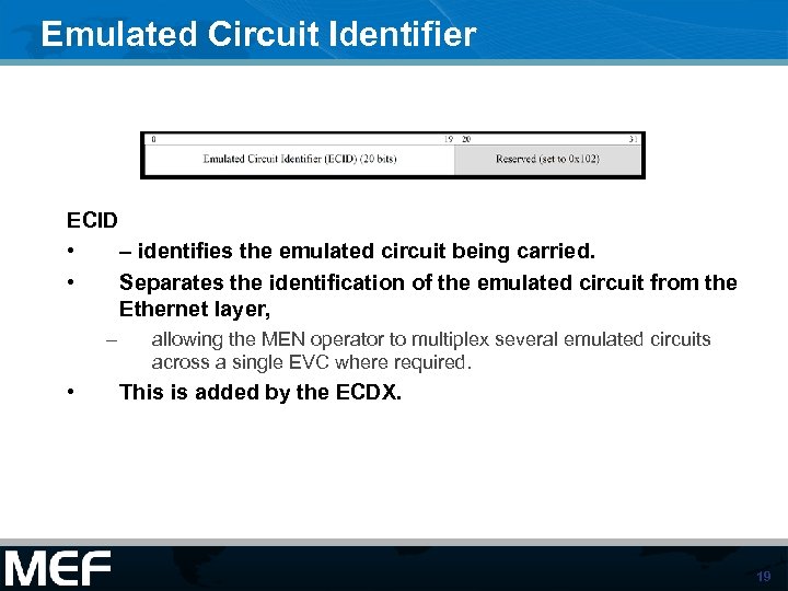 Emulated Circuit Identifier ECID • – identifies the emulated circuit being carried. • Separates