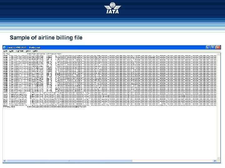 Sample of airline billing file 