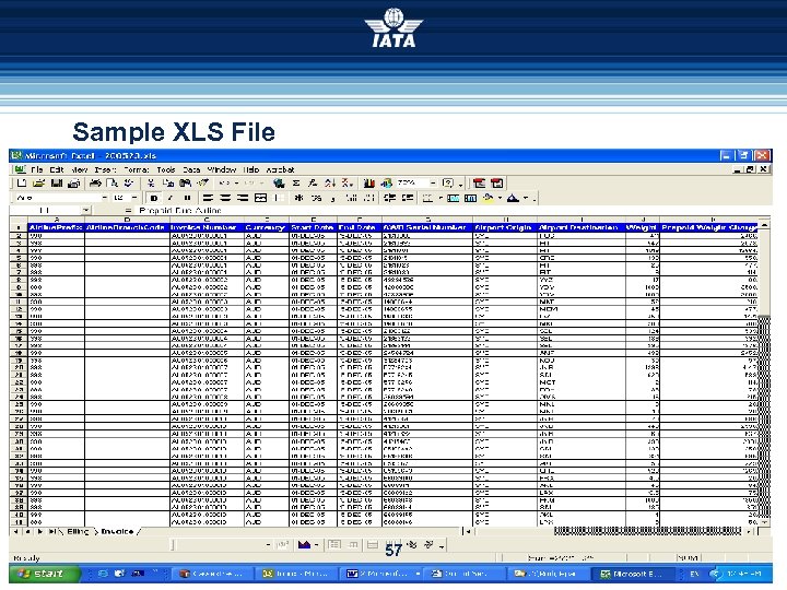 Sample XLS File 57 