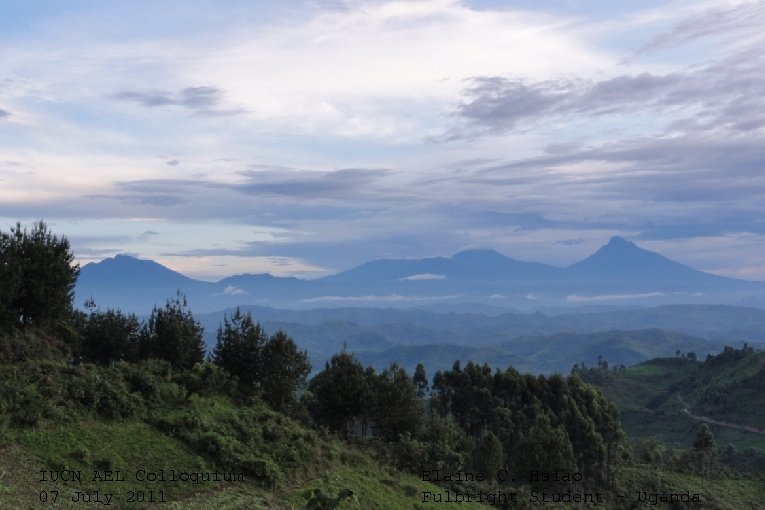 IUCN AEL Colloquium 07 July 2011 Elaine C. Hsiao Fulbright Student - Uganda 