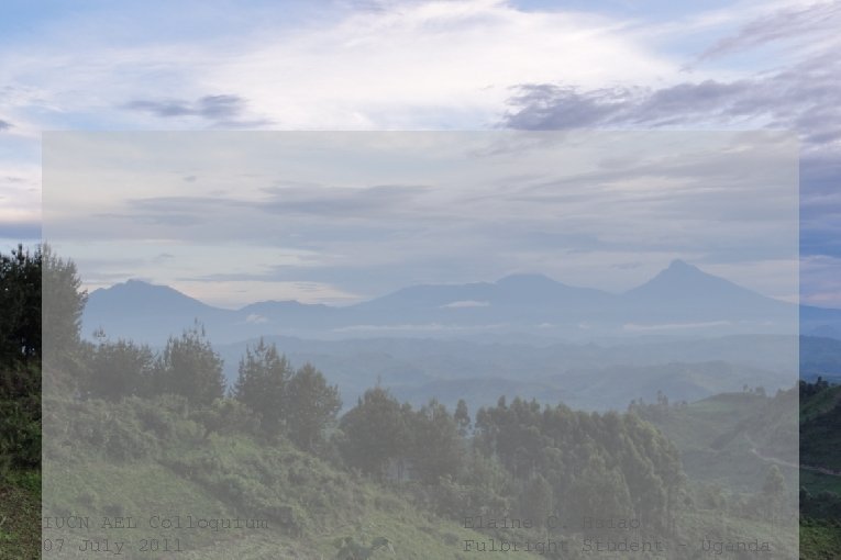IUCN AEL Colloquium 07 July 2011 Elaine C. Hsiao Fulbright Student - Uganda 