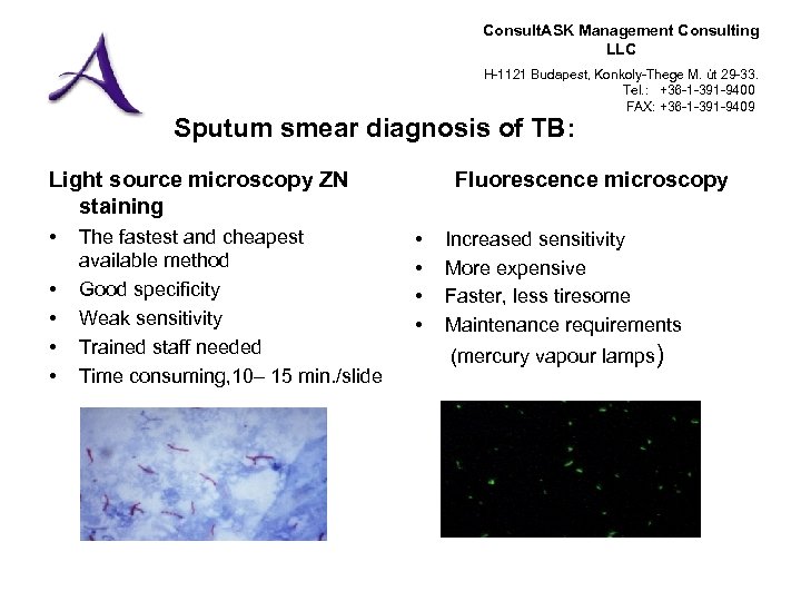 Consult. ASK Management Consulting LLC H-1121 Budapest, Konkoly-Thege M. út 29 -33. Tel. :