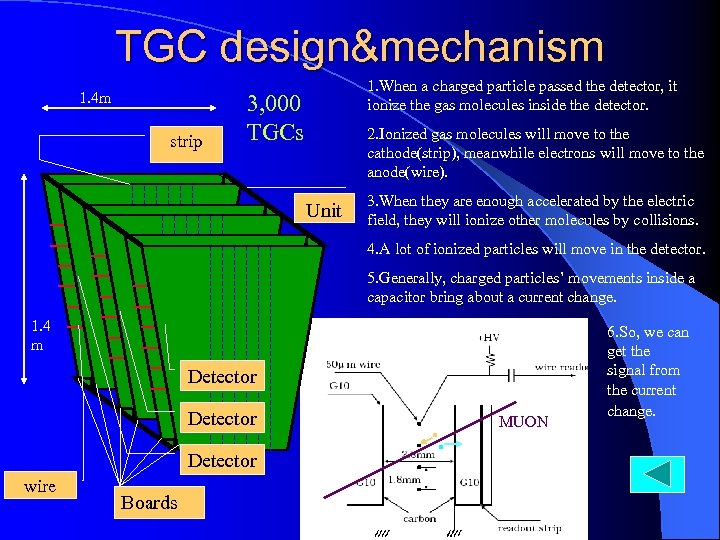 TGC design&mechanism 1. 4 m strip 1. When a charged particle passed the detector,