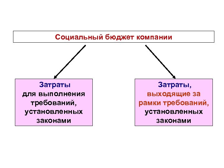 Социальный бюджет компании Затраты для выполнения требований, установленных законами Затраты, выходящие за рамки требований,