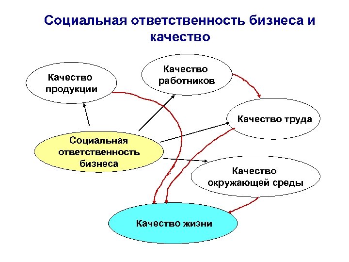 Социальная ответственность проект