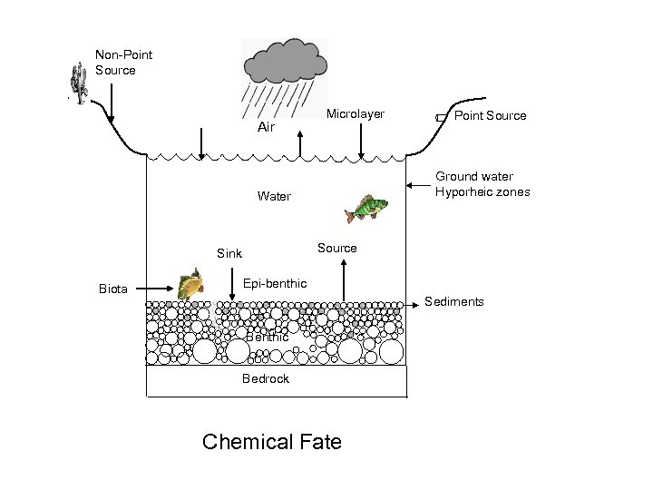 Non-Point Source Air Microlayer Ground water Hyporheic zones Water Source Sink Biota Point Source