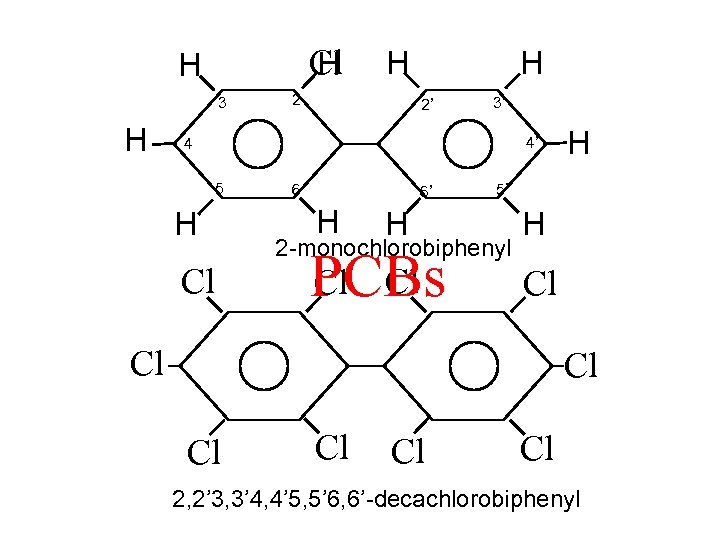 Cl H H 3 H H 2’ 3’ 4’ 4 5 H Cl 6