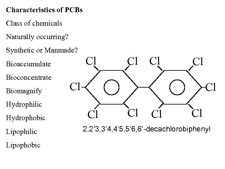 Characteristics of PCBs Class of chemicals Naturally occurring? Synthetic or Manmade? Cl Bioaccumulate Bioconcentrate