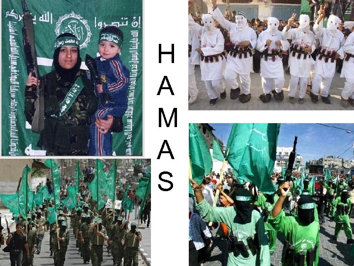 H A M A S 
