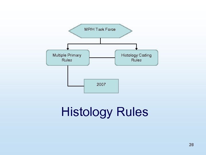 MP/H Task Force Multiple Primary Rules Histology Coding Rules 2007 Histology Rules 28 