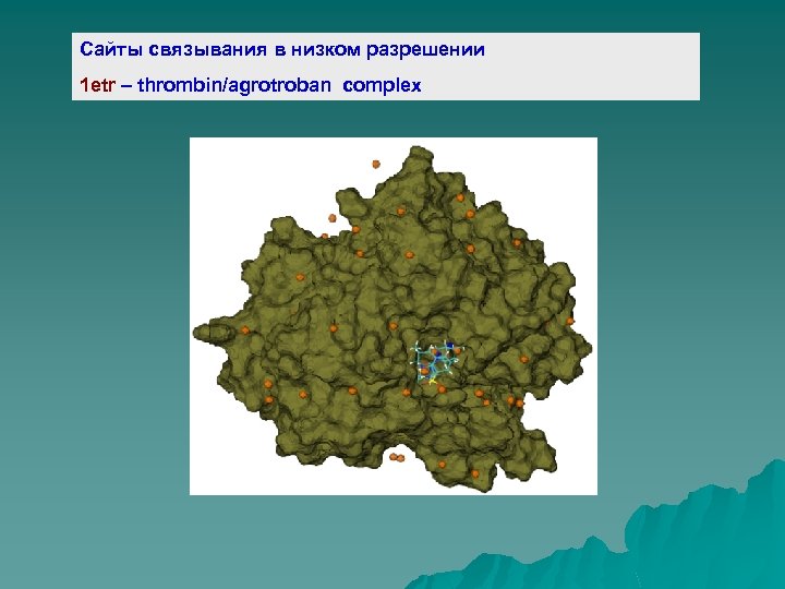 Сайты связывания в низком разрешении 1 etr – thrombin/agrotroban complex 