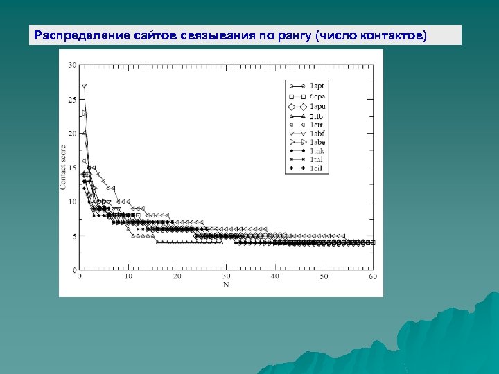 Распределение сайтов связывания по рангу (число контактов) 