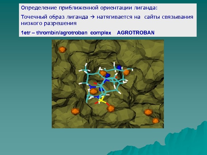 Определение приближенной ориентации лиганда: Точечный образ лиганда натягивается на сайты связывания низкого разрешения 1