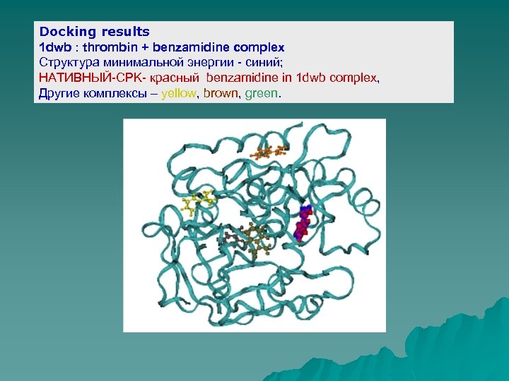 Docking results 1 dwb : thrombin + benzamidine complex Структура минимальной энергии - синий;