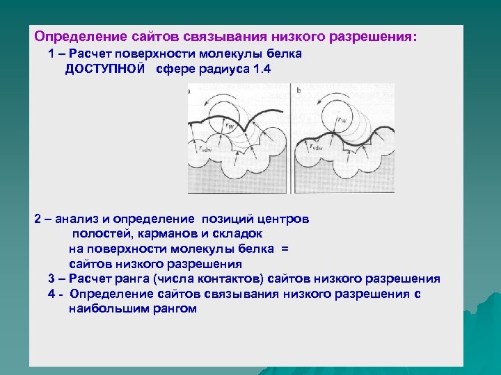 Считать поверхность. Моделирования взаимодействия белка. Коэффициент асимметрии белковой молекулы. Центр связывания белковой молекулы. Форма белковых молекул радиус.