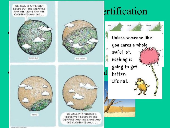 Deforestation/ Desertification • The destruction of the forest (Amazon) • The changing of farm