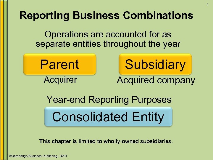 1 Reporting Business Combinations Operations are accounted for as separate entities throughout the year