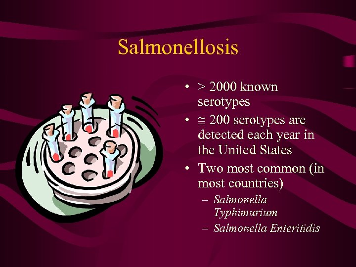 Salmonellosis • > 2000 known serotypes • 200 serotypes are detected each year in