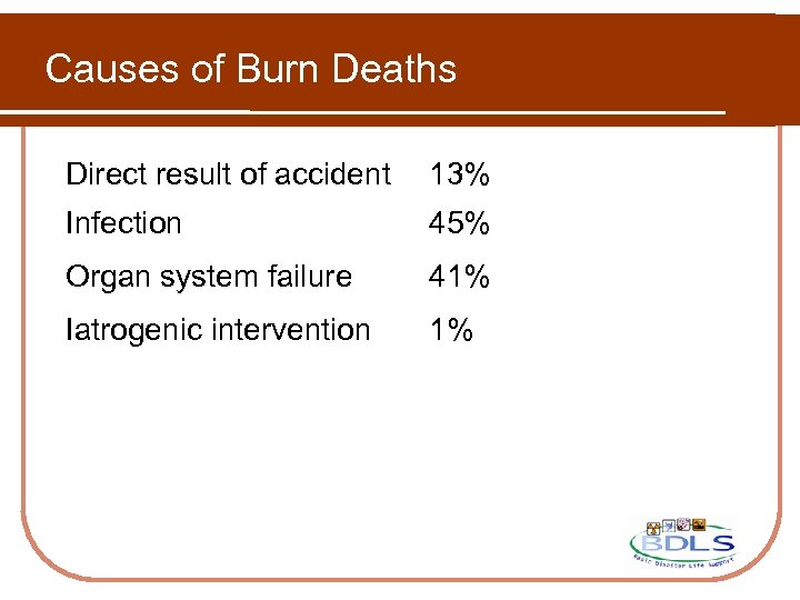 Causes of Burn Deaths Direct result of accident 13% Infection 45% Organ system failure