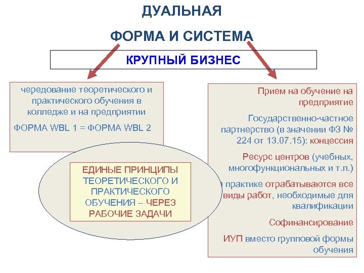 Дуальное обучение это