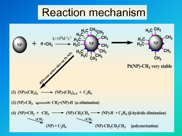 Reaction mechanism 