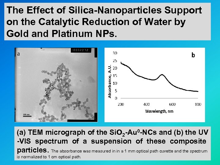 The Effect of Silica-Nanoparticles Support on the Catalytic Reduction of Water by Gold and