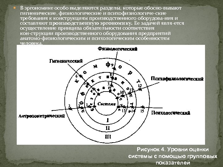  В эргономике особо выделяются разделы, которые обосно вывают гигиенические, физиологические и психофизиологиче ские