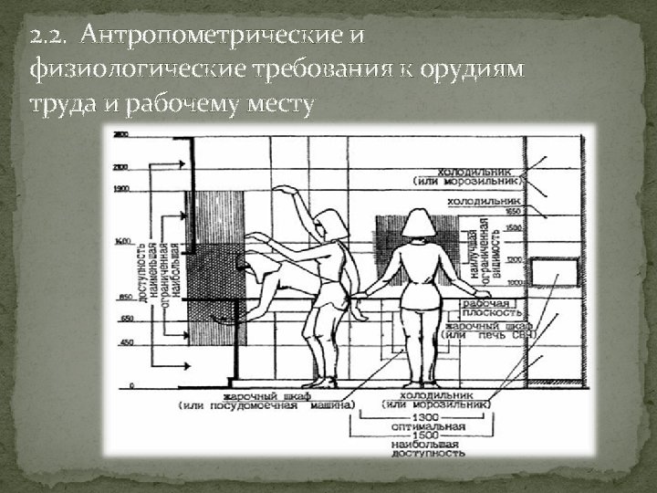 Антропометрическая карта студента