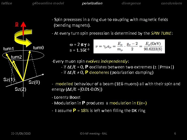 lattice g 4 beamline model polarization divergence conclusions - Spin precesses in a ring