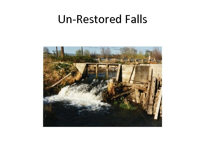 Un-Restored Falls 