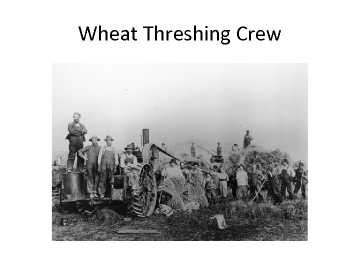 Wheat Threshing Crew 