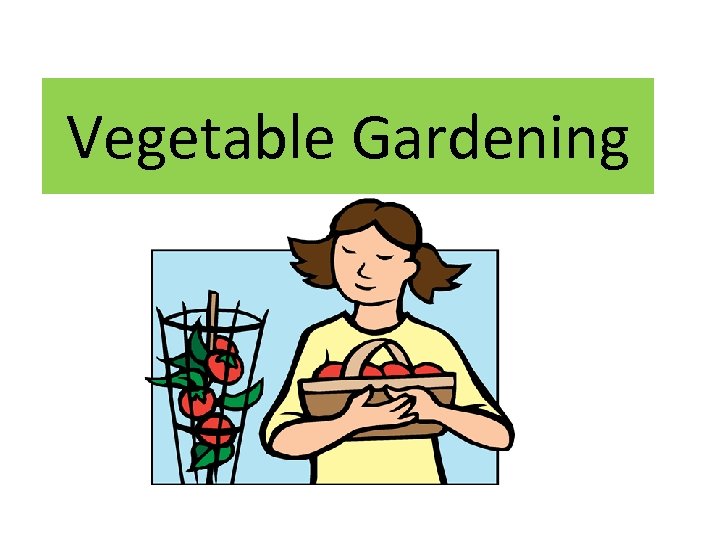 Vegetable Gardening 