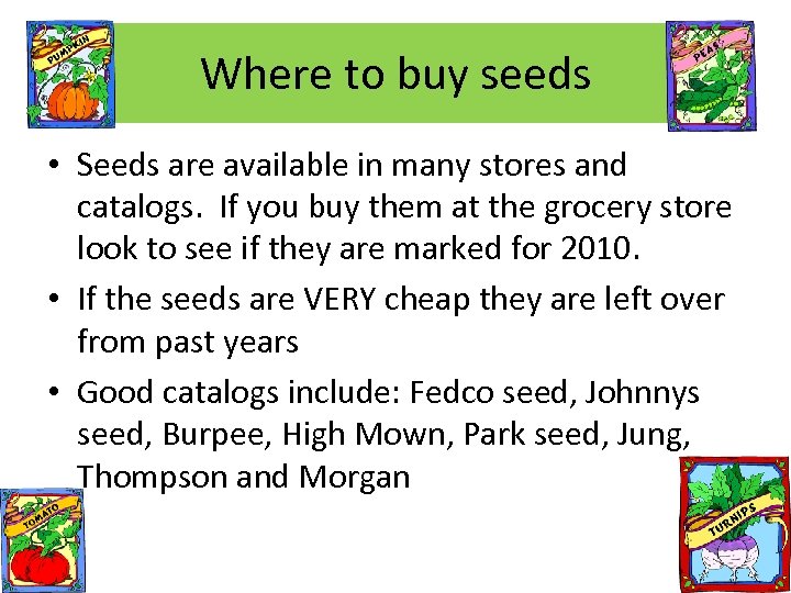 Where to buy seeds • Seeds are available in many stores and catalogs. If