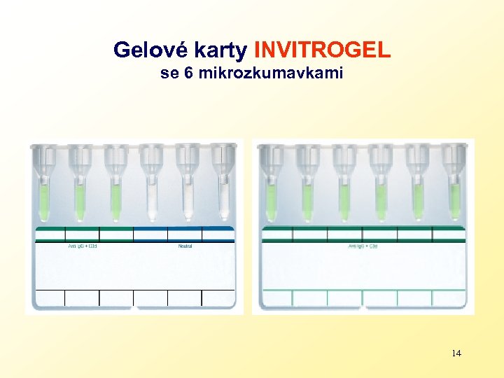 Gelové karty INVITROGEL se 6 mikrozkumavkami 14 