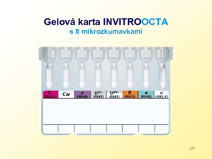 Gelová karta INVITROOCTA s 8 mikrozkumavkami 17 
