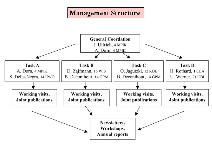 Management Structure 