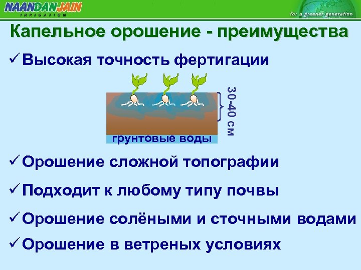 Капельное орошение - преимущества ü Высокая точность фертигации 30 -40 см грунтовые воды ü