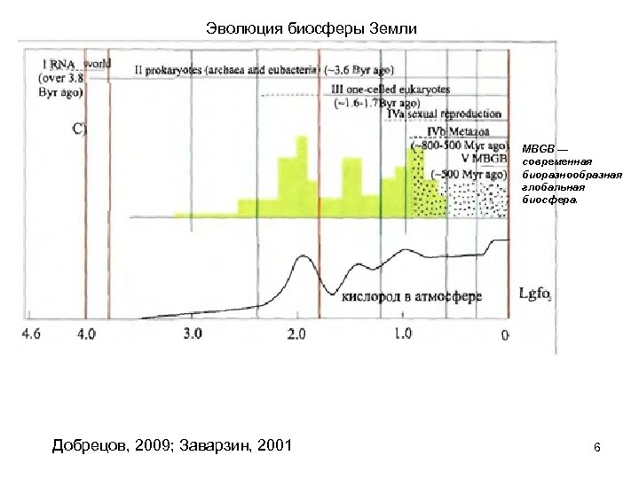 Проект эволюция биосферы