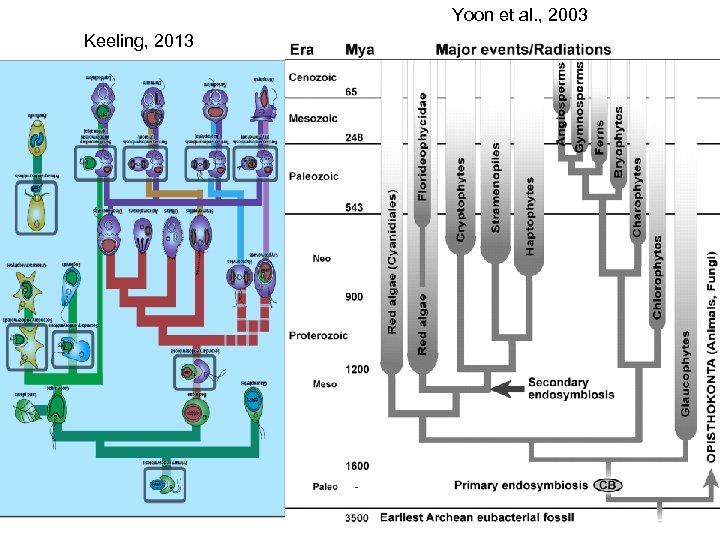 Yoon et al. , 2003 Keeling, 2013 7 
